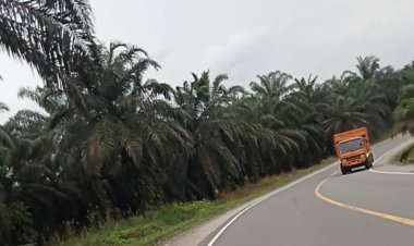 Diduga Surat Edaran Kementerian ESDM Dan Gubernur Jambi Di Kangkangi, Terlihat Truk Fuso Tetap Exis Di Siang Bolong