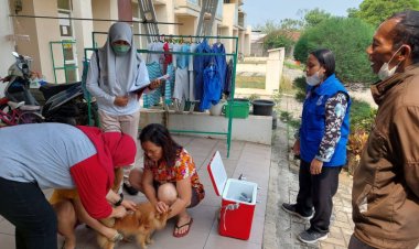 DPKP Kab. Tangerang Cegah Penularan Penyakit Rabies pada Hewan Peliharaan