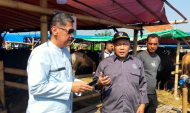Pemkab Bogor Pastikan Hewan Qurban Sehat dan Layak Konsumsi