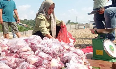 Wakil Ketua Gerindra Lampung Selatan Erma Yusneli Bagikan Ribuan Paket Daging Kurban