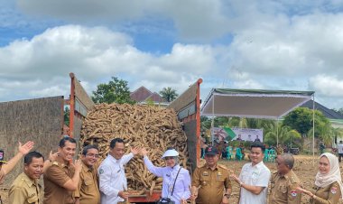 Asisten 1 Drs Indra Kesuma Wijaya, MM ., Pimpin Panen Perdana kerja Sama Pemkab Mesuji dan PT.Umas jaya agrotama di Buko poso