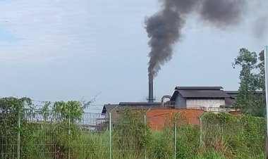 Warga Mengeluhkan Abu Pembakaran PT. PSJ yang Mengotori Rumah