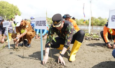 Peduli Lingkungan, HUT Bhayangkara Ke 79 Polres Pidie Tanam 1000 Magrove 