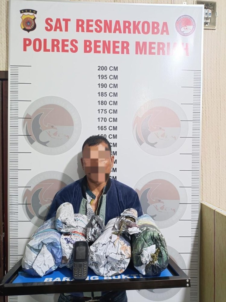 Lagi, Polres Bener Meriah Ringkus Pengedar Ganja 2,3 Kilogram BB Berhasil di Amankan 