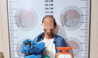 Polres Bener Meriah Tangkap Pengedar Ganja di Kampung Rime Raya, Amankan Barang Bukti 1,2 Kg