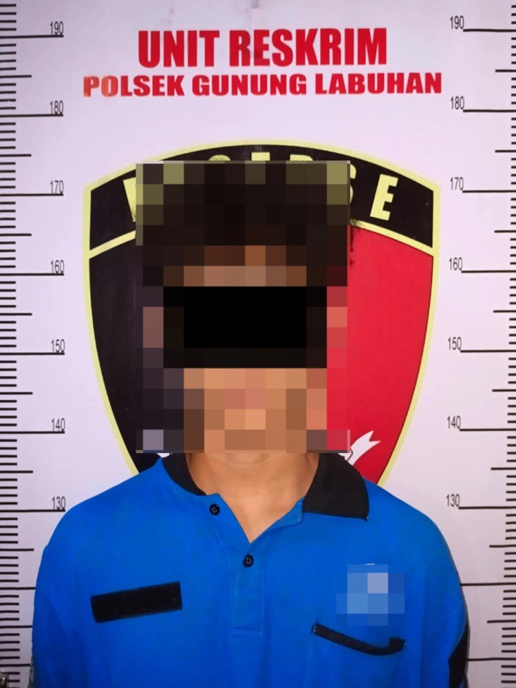 Diduga Lakukan Penipuan dan Penggelapan Motor, Seorang ABH Diamankan Polsek Gunung Labuhan