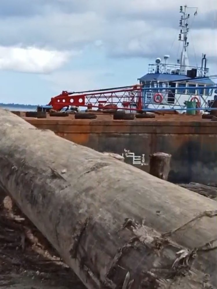 Pemerintah Pusat dan Daerah Tidak Boleh Lepas Tangan atas Pembiaran Aktivitas PT Gruti dan PT Teluk Nauli di Kepulauan Batu