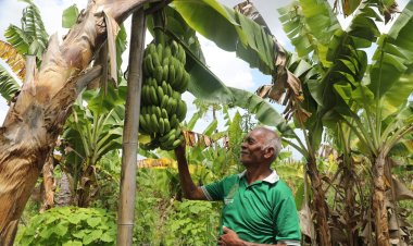 ‎Reforma Agraria Ubah Pola Pikir Warga Desa Baumata di Kabupaten Kupang, Hasilkan Peningkatan Penghasilan Petani