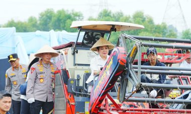 Kapolri-Ketua Komisi IV Pimpin Panen Raya Jagung Serentak, Wujud Nyata Dukung Ketahanan Pangan Nasional