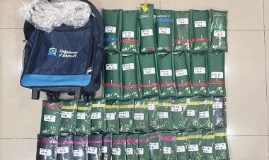 Polda Metro Bongkar Modus Kirim Ganja Pakai Paket Online, Sita 2,3 Kg Barang Bukti