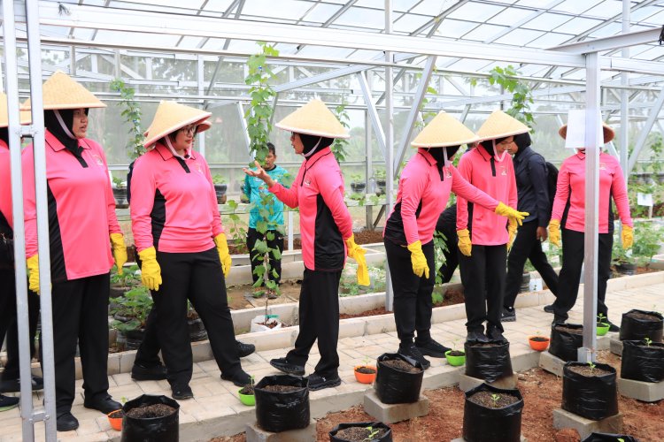 LAUNCHING PEKARANGAN PANGAN LESTARI (P2L) BHAYANGKARI METRO JAYA DIGELAR DI KELURAHAN PADURENAN BEKASI   