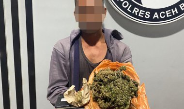 Sat Resnarkoba Polres Aceh Barat Bongkar Kasus Ganja, 500 Gram Barang Bukti Disita
