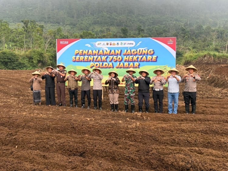 ‎Kesiapan Lahan Jagung Garut Selesai, Penanaman Serentak 750 Hektare Siap Digelar Esok Hari