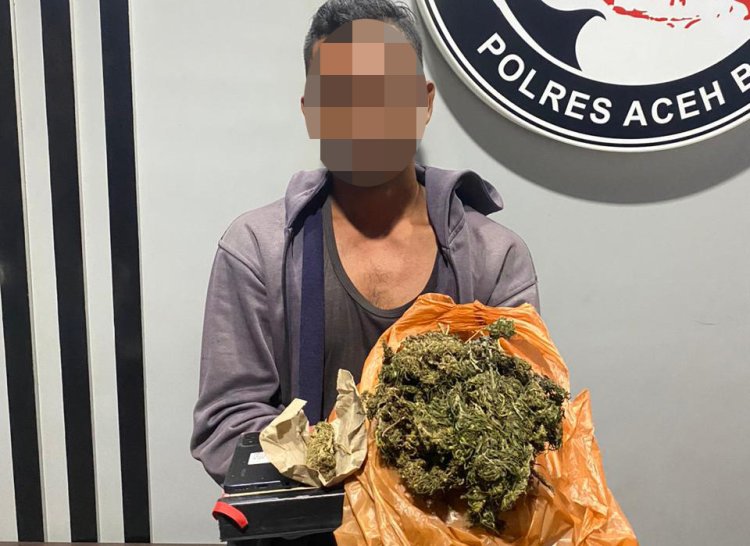 Sat Resnarkoba Polres Aceh Barat Bongkar Kasus Ganja, 500 Gram Barang Bukti Disita