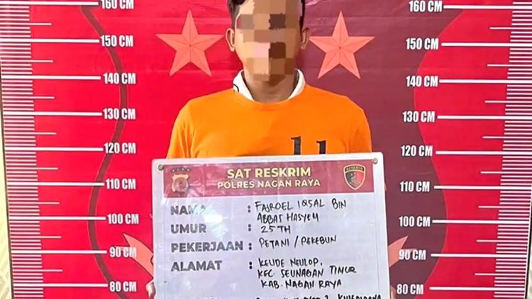 Gerak Cepat Satreskrim Polres Nagan Raya, Pelaku Dugaan Pencurian Sawit Diamankan