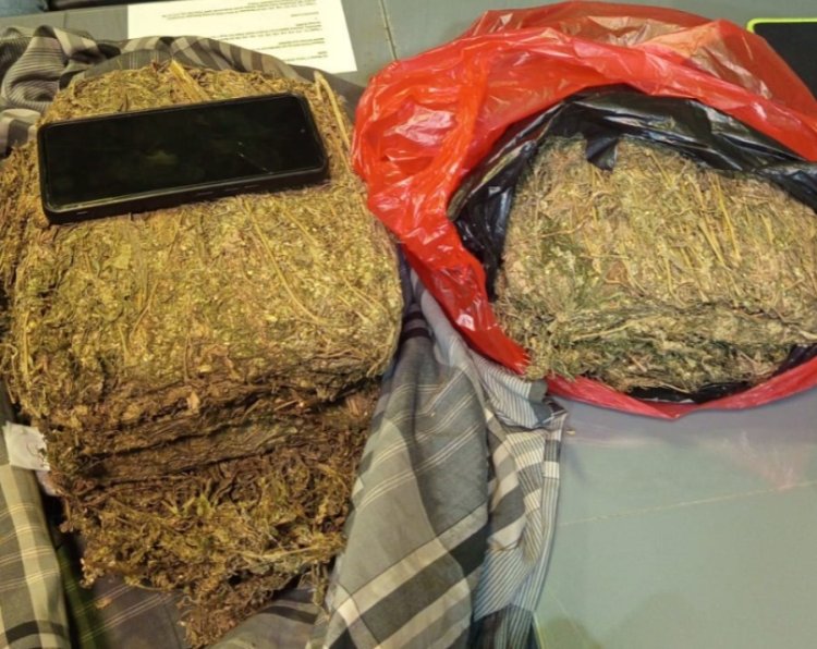Polda Metro Jaya Mengagalkan Peredaran 4,3 KG Ganja Di Wilayah Depok