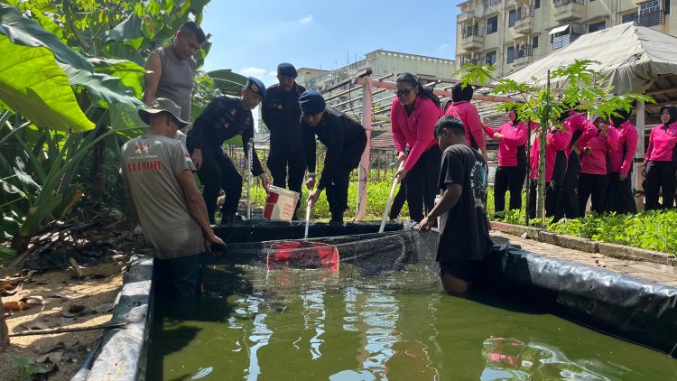Panen Hasil KRPL, Batalyon D Pelopor Satbrimob Polda Metro Jaya Dukung Ketahanan Pangan