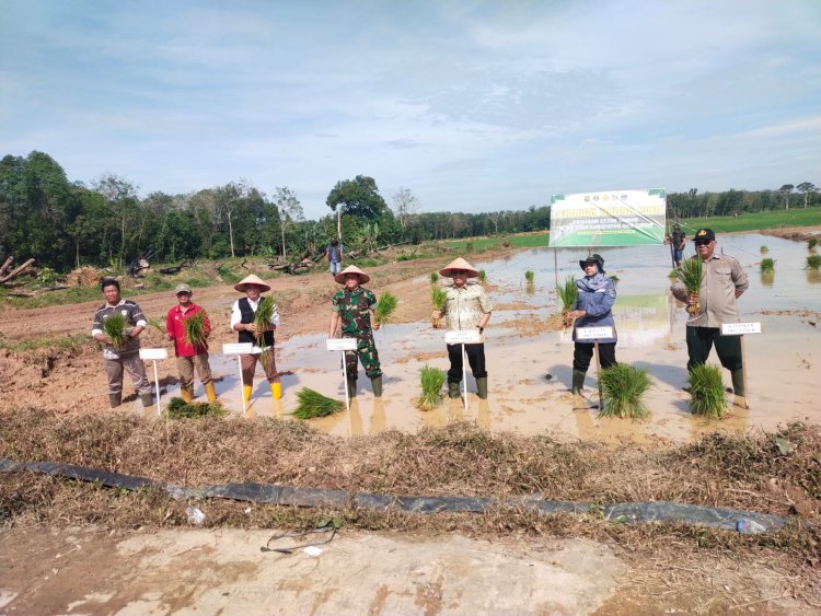 OKU TIMUR, untuk memperkuat serta mendukung program pemerintah pusat ketahanan pangan