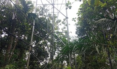 DI BELAKANG ISLAMIC CENTER KM 5 BELAMBANGAN UMPU: TIANG PENYANGGA PT GIHON DISAMBAR PETIR, WARGA ALAMI KERUGIAN BESAR, RATUSAN ALAT ELEKTRONIK RUSAK