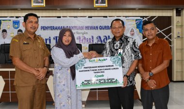 Sambut Idul Adha 1447 H, Pemko Langsa Salurkan 62 Hewan Qurban Untuk Masyarakat
