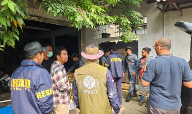 Bareskrim dan PPNS Kemenhut Geledah Gudang Satwa Dilindungi di Bekasi, 11 Sanca Hijau Papua Disita