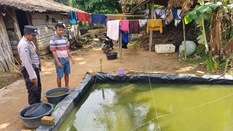 Bhabinkamtibmas Buay Bahuga Dampingi Budidaya Lele Warga untuk Program Ketahanan Pangan