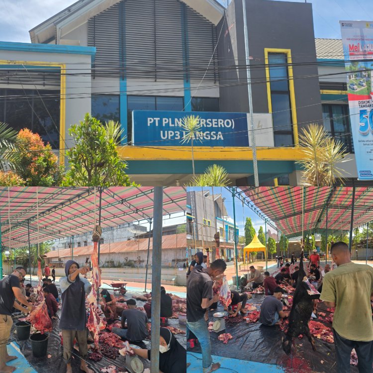 Di Balik Penyembelihan 12 Hewan Kurban PLN UP3 Langsa, Wartawan Mengaku Sulit Meliput