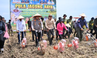 Tanam Jagung Raya 40 Hektare di Pidie, Polda Aceh dan Petani Muda Perkuat Ketahanan Pangan Nasional