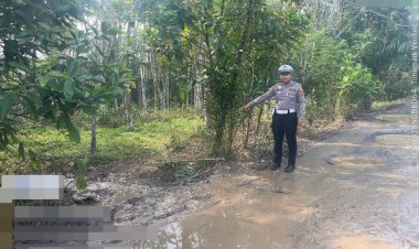 Polisi Gerak Cepat Tangani Kecelakaan Tunggal Truk Pengangkut Ternak di Banjit Way Kanan