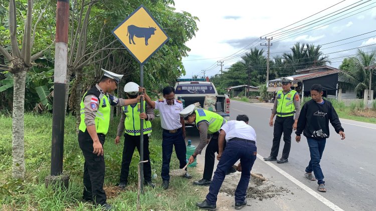 Cegah Kecelakaan Akibat Hewan Ternak, Sat Lantas Aceh Utara Pasang Rambu Peringatan di Jalur Nasional