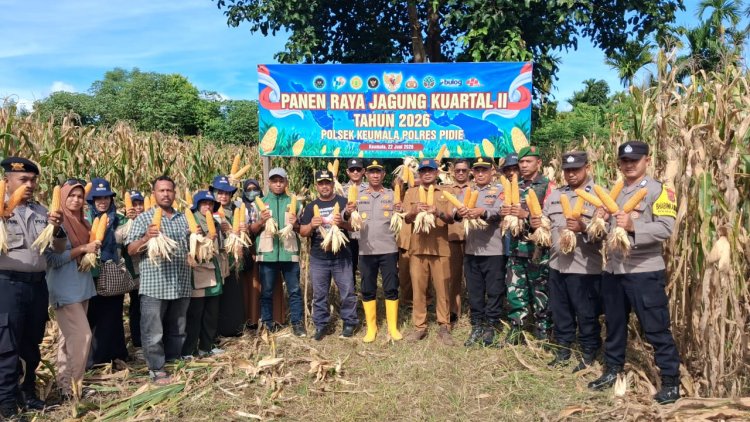 Panen Raya Jagung Kuartal II, Polsek Keumala Perkuat Sinergi Wujudkan Swasembada Pangan