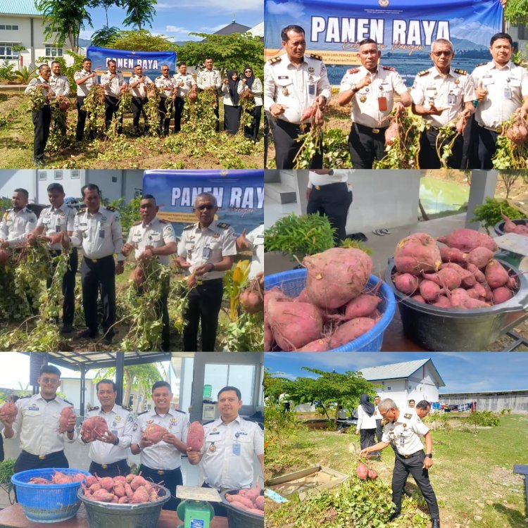 Sukseskan Program Ketahanan Pangan, LPKA Kelas II Banda Aceh Gelar Panen Raya Ubi Rambat