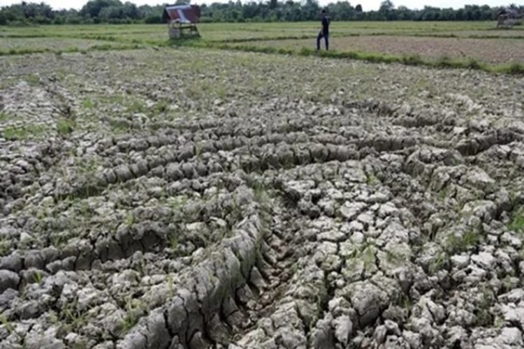 Siaga Penuh Hadapi Kemarau Ekstrem Akibat El Nino! Instansi Kabupaten & Provinsi Diminta Bergerak Cepat Demi Keselamatan Warga Way Kanan   