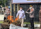 Polres Aceh Tengah Sita dan Musnahkan 101,9 Kg Ganja, Bandar Narkoba Diingatkan Tak Main-main