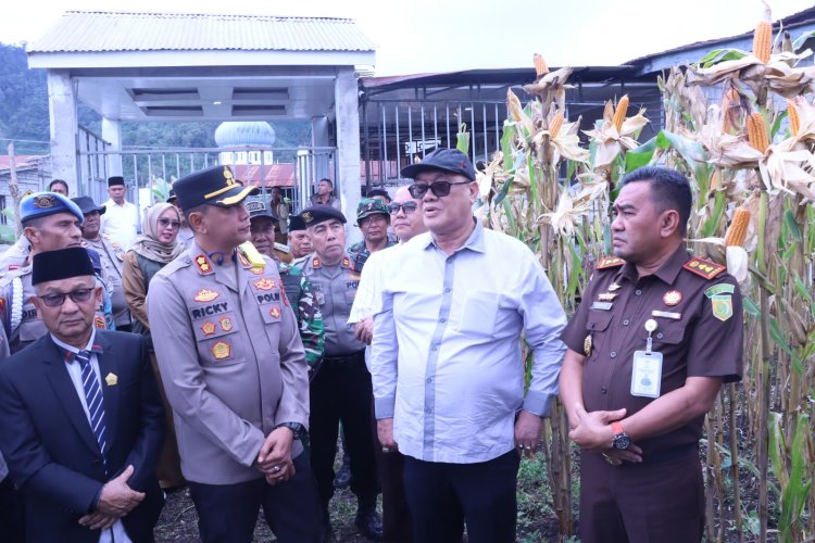 Panen Raya Jagung Kuartal IV, Kapolres Bener Meriah Dorong Penguatan Swasembada Pangan