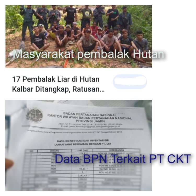 Kau Rambah Hutan, Kau Di Penjara. PT CKT Rambah Hutan Tidak Mengapa. Oh !! KLHK