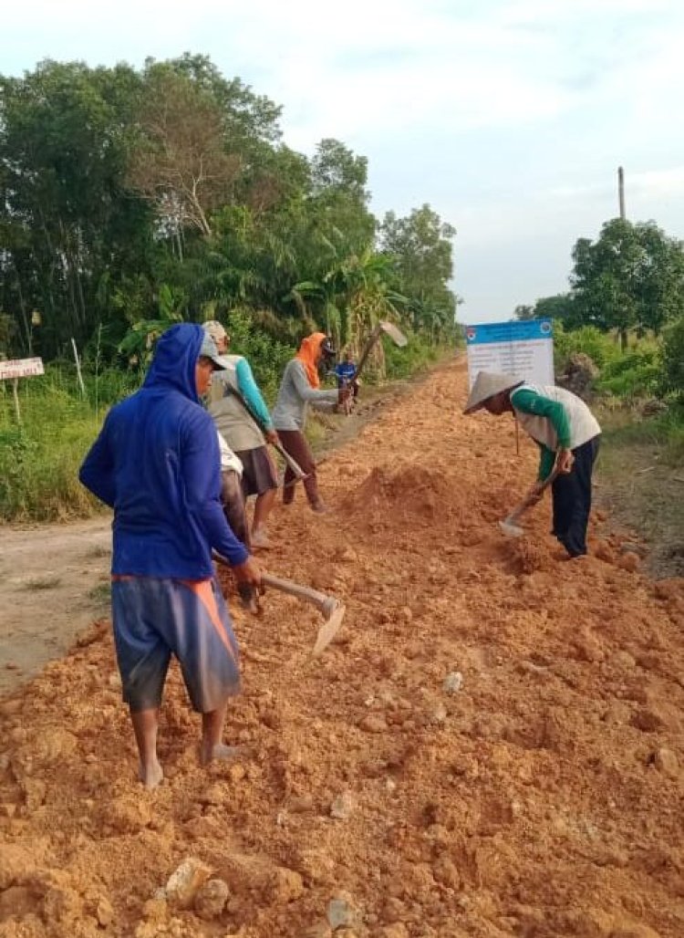 Desa sungai buaya merealisasikan Pembangunan timbun tanah merah jalan usaha tani