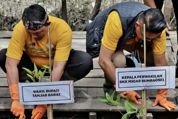 Wagup Bersama Bupati Hadiri Giat Penghijauan Kawasan Mangrove Pangkal Babu
