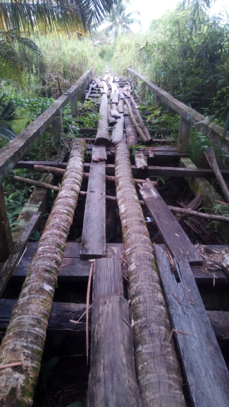 Jembatan Hubungan Persawahan Meunumbok Rusak Parah