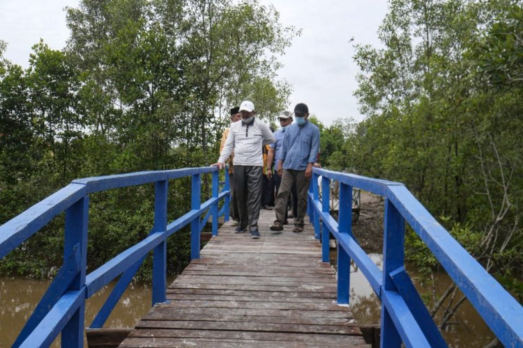 Pemkab Tanjabbar Mengapresiasi Pembentukan Perdes Tentang Perlindungan Hutan Mangrove