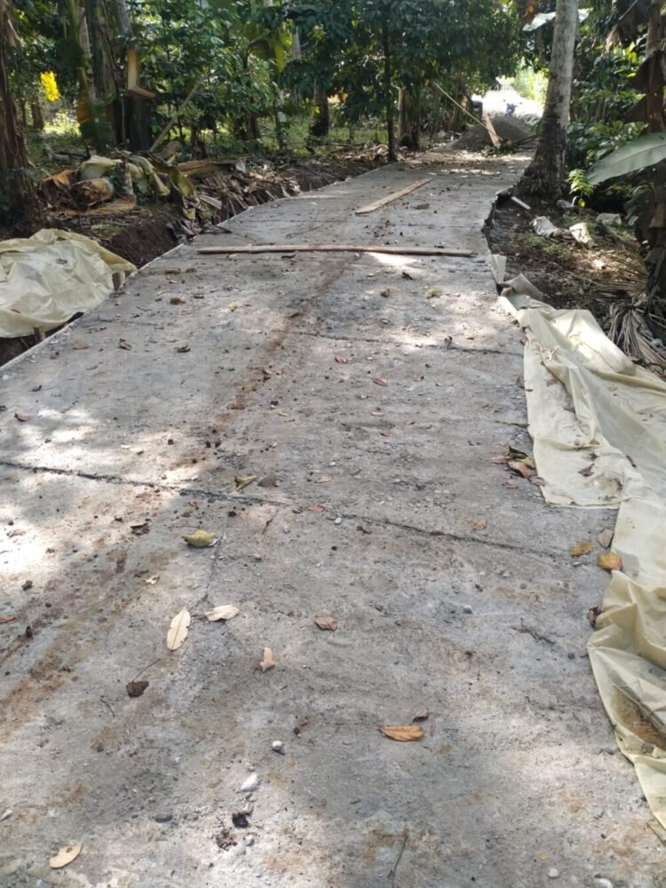 Diduga Korupsi Pembangunan Rabat Beton Terkesan Asal Jadi