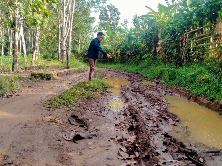 Jalan Penghubung Pesawaran_Lamsel Rusak Parah!! Masyarakat Minta Jalan Tersebut diperbaiki Segera!!!