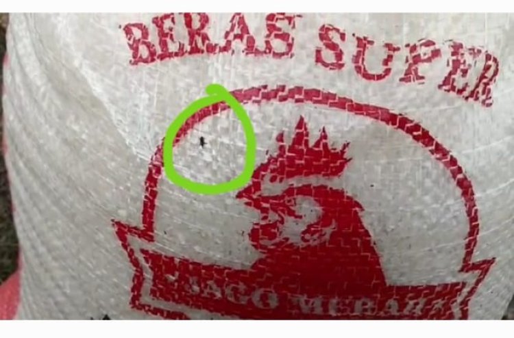AMHLS: BUMD Lamsel Maju Coreng Muka Bupati, Jual Beras "Jago Merah" Berkutu