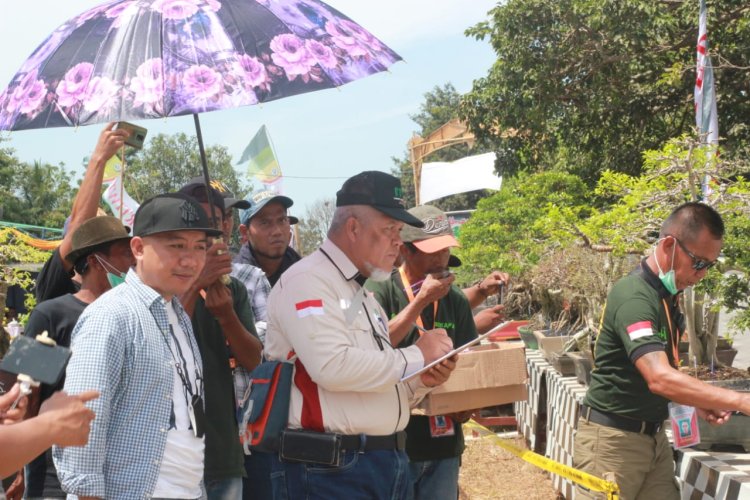 572 Bonsai Meriahkan Jemur Bersama Bokafa, Peserta : Kopdar Rasa Pamnas