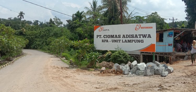 Diduga Tidak Mematuhi UU No.13/2003 Oleh PT Aulia Mandiri Persada Outsourcing, PT Ciomas Adisatwa RPA-Unit Lampung