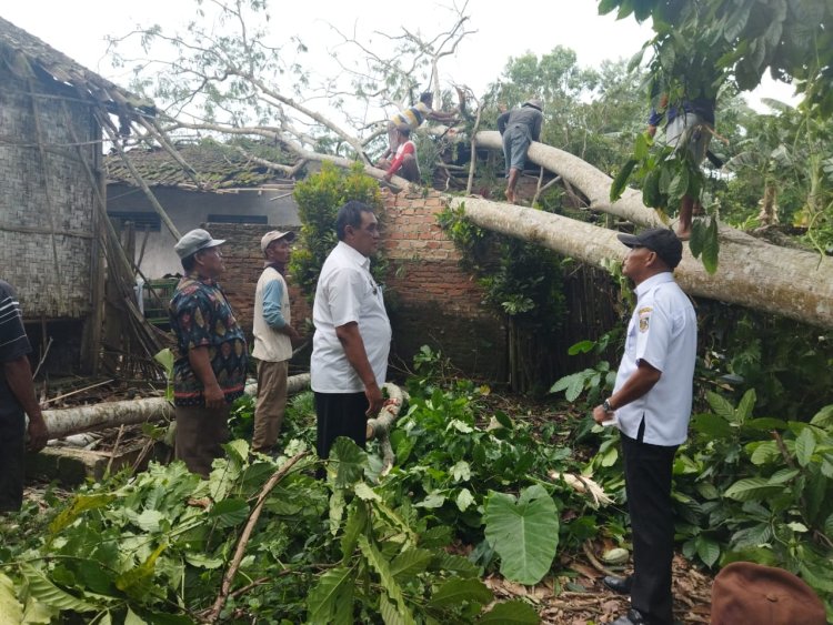 Untung Selamat, Saat Angin Kencang Pohon Roboh Menimpa Rumah Warga
