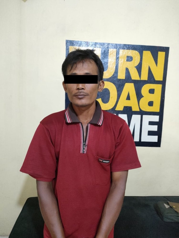 Setelah Mencuri Ayam Bangkok Pelaku Kabur Lima Bulan dan Kembali Langsung Ditangkap Polsek Seputih Banyak Lampung Tengah.