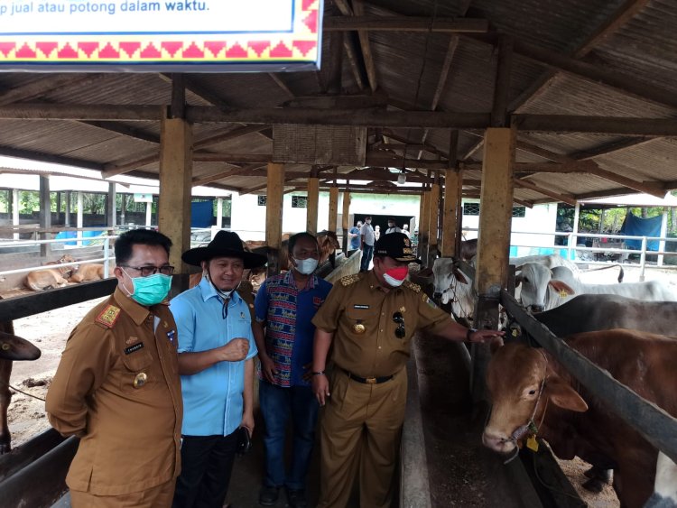 Gubernur Lampung Arinal Djunaidi, Serahkan Penghargaan BI Award kepada KPT Maju Sejahtera