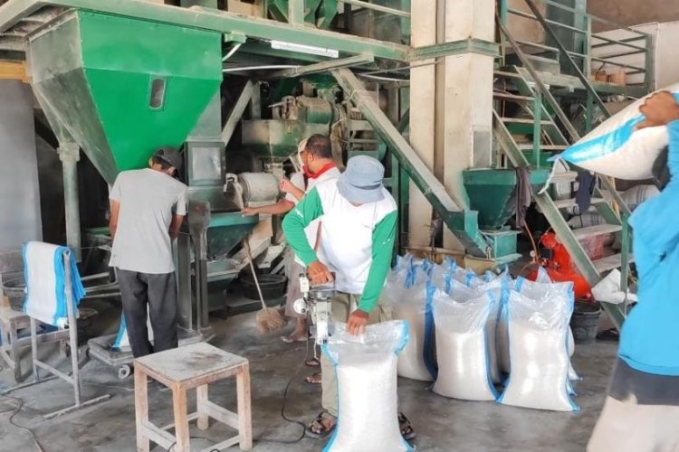 Harga Beras Tembus Rp 11 Ribu Per Kilogram Di Rice Mill Kecamatan Wanasalam