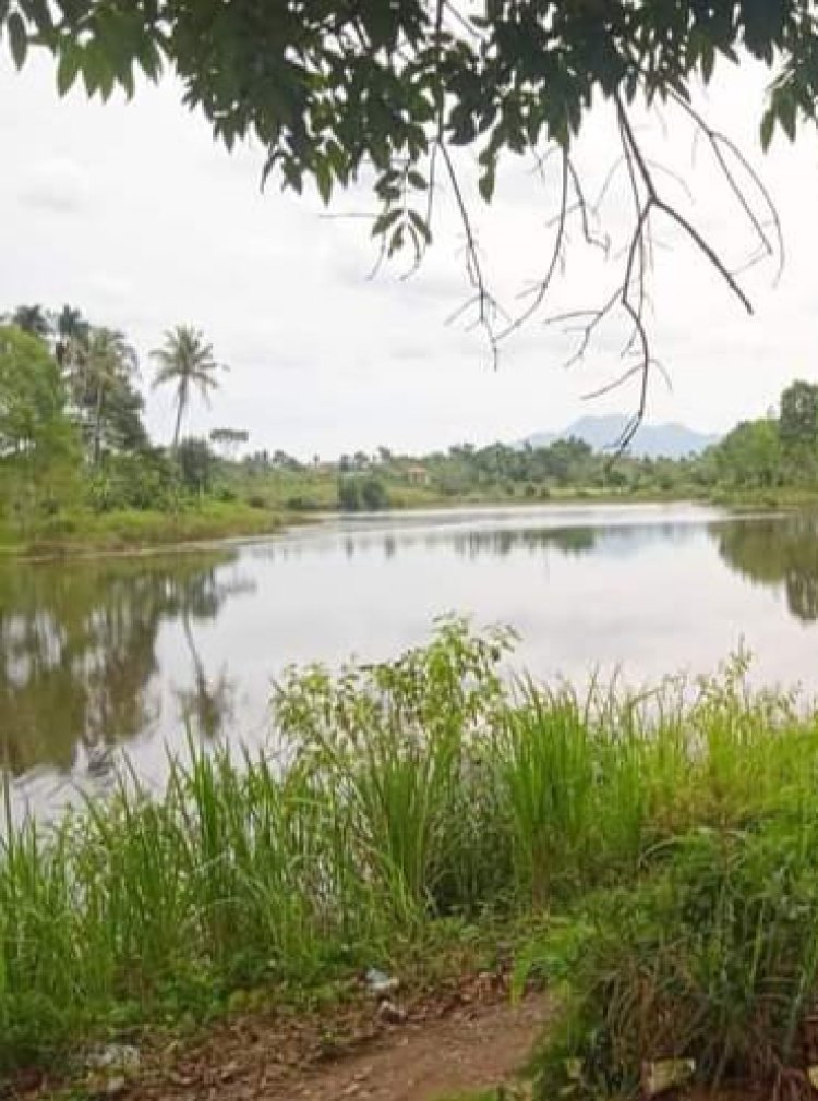 Air sungai wae sekampung meluap,terdampak luapan air akan mengalami kerugian hasil bumi